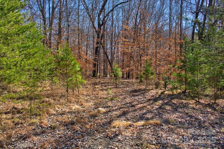 Property Photo:  0 Cinnamon Ridge 404  NC 28139 