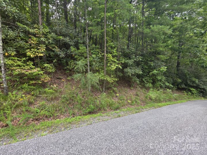 Property Photo: Lot 12 Deer Ridge Trail 12 NC 28752