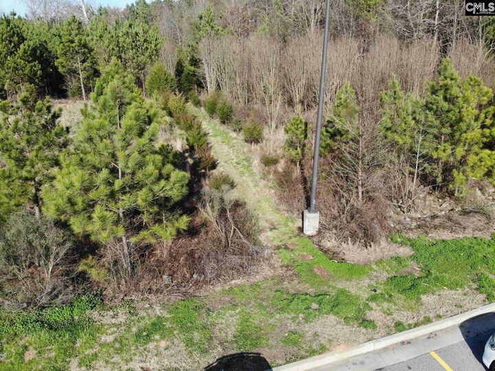 Property Photo: 219 Rural Hwy SC 29108