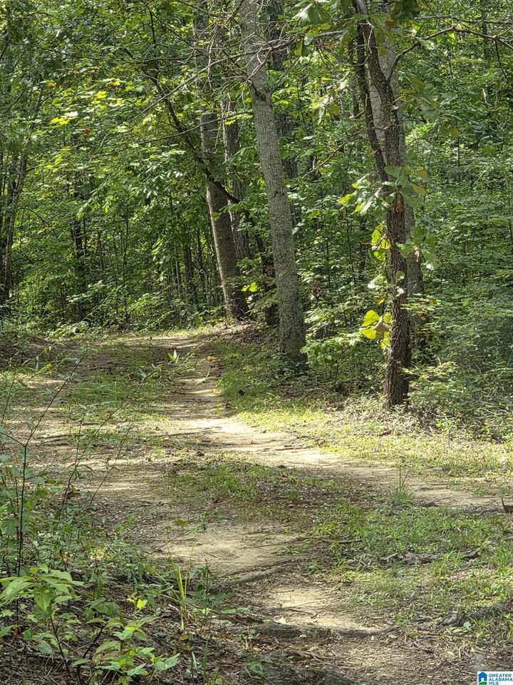 Property Photo: 3004 Rocky Mount Church Road AL 35160