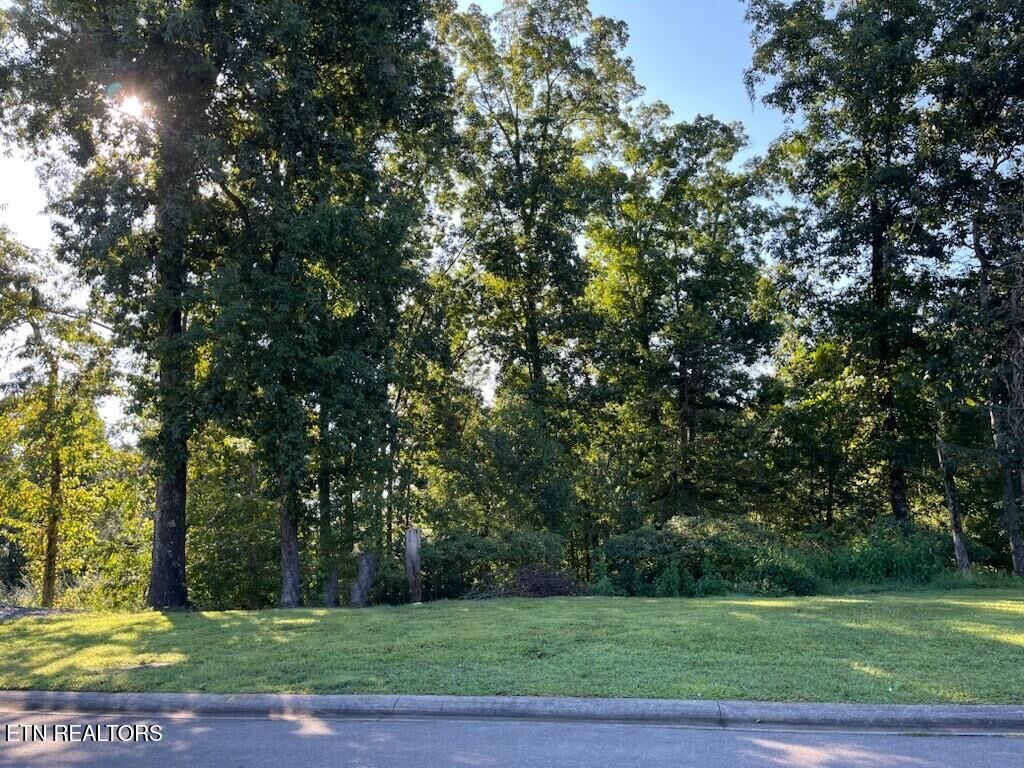 Property Photo:  105 Rockbridge Greens Blvd  TN 37830 