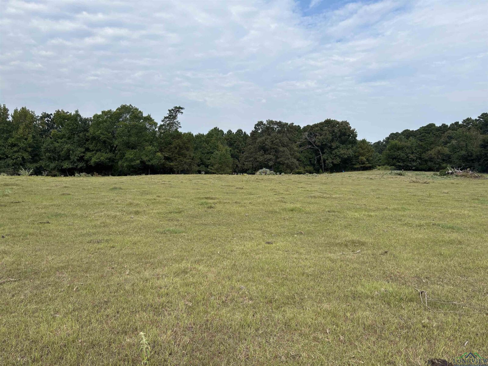 Property Photo:  Tbd County Road 165  TX 75669 