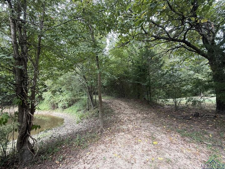 Property Photo: 875 Cr 4360 TX 75480
