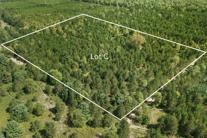 Property Photo: 15 Acres Wallin Road MI 49683