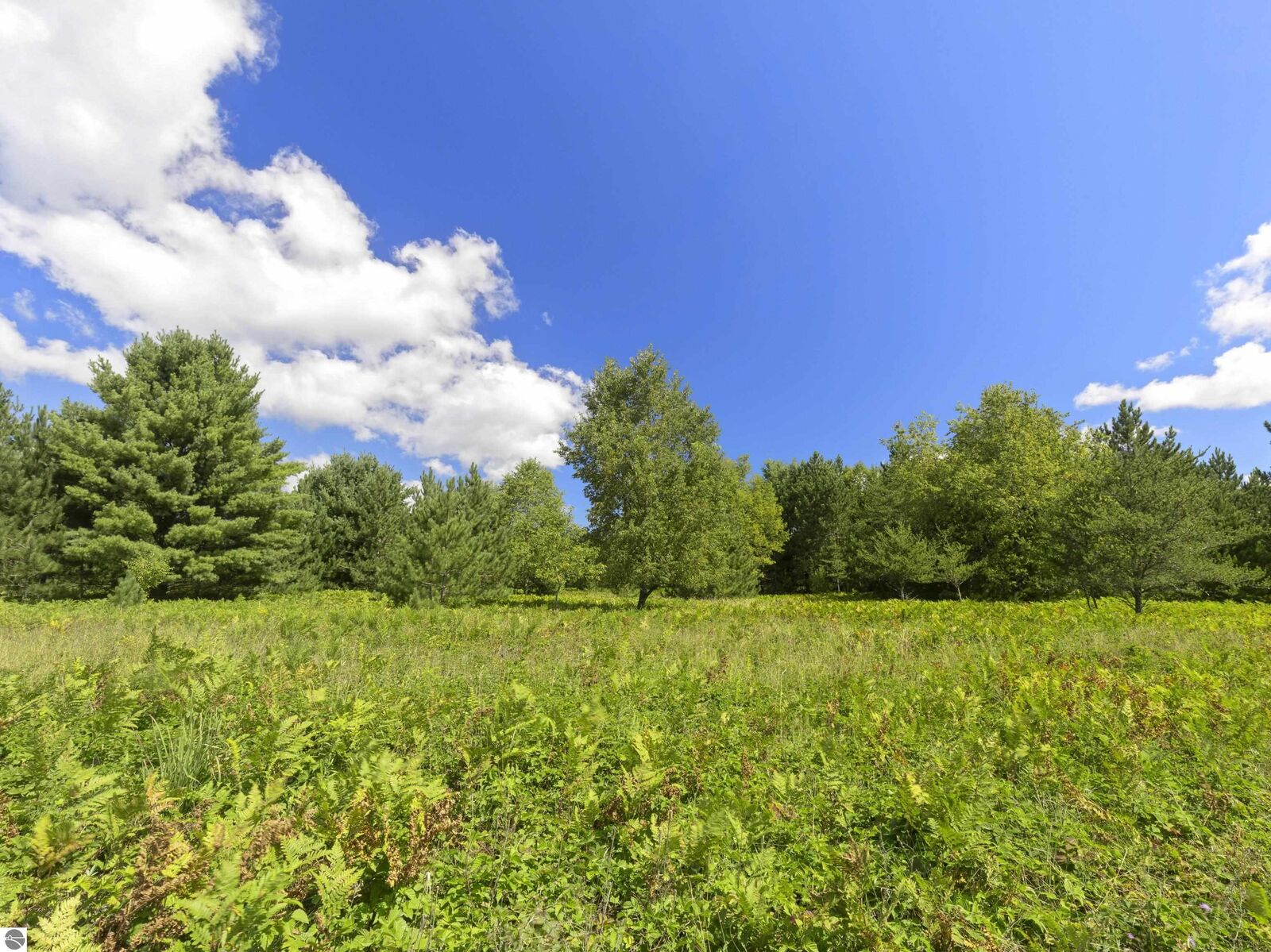Property Photo: 15 Acres Wallin Road C MI 49683