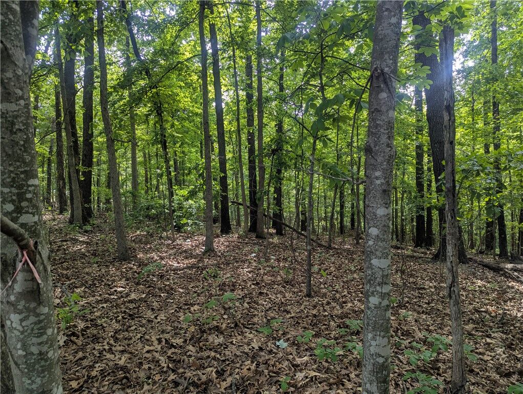 Property Photo: 12 Selkirk Circle AR 72715