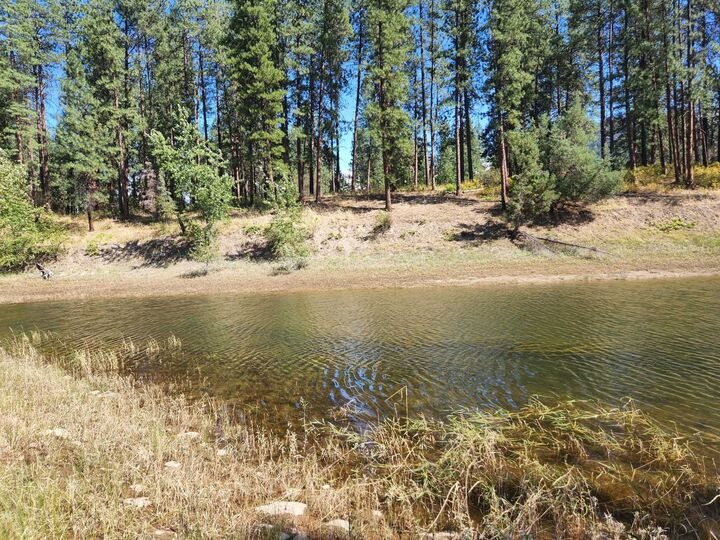 Property Photo: 4004 Northport Flat Creek Rd WA 99157