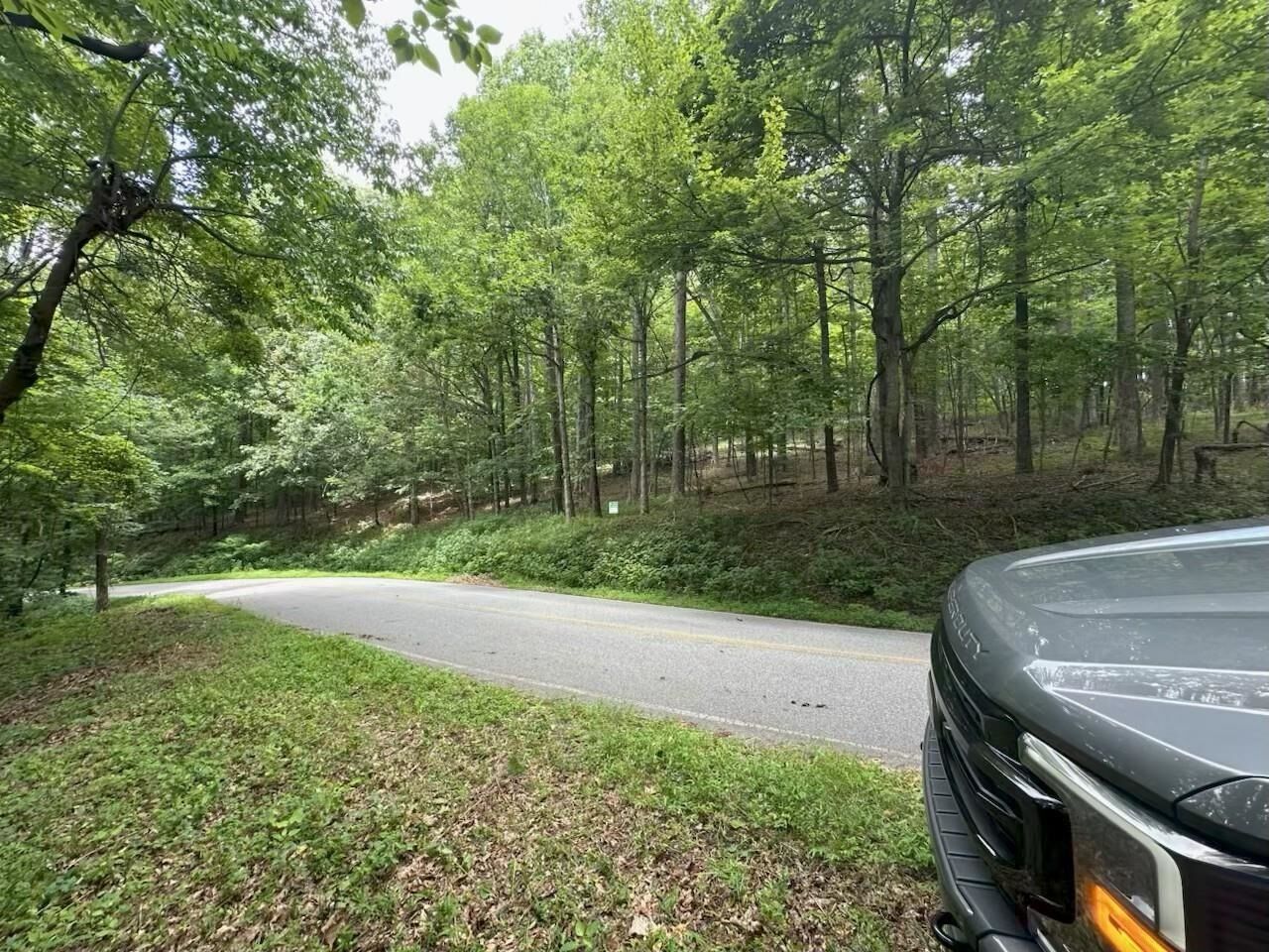 Property Photo:  0000 Skyuka Mountain Road  NC 28722 