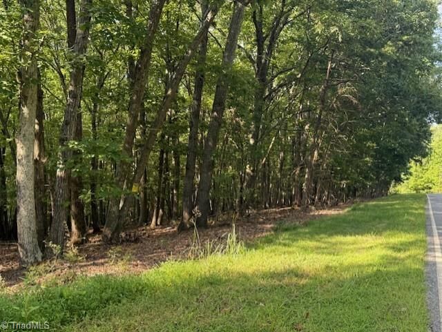 0 Cedar Mountain Road  Mayodan NC 27027 photo
