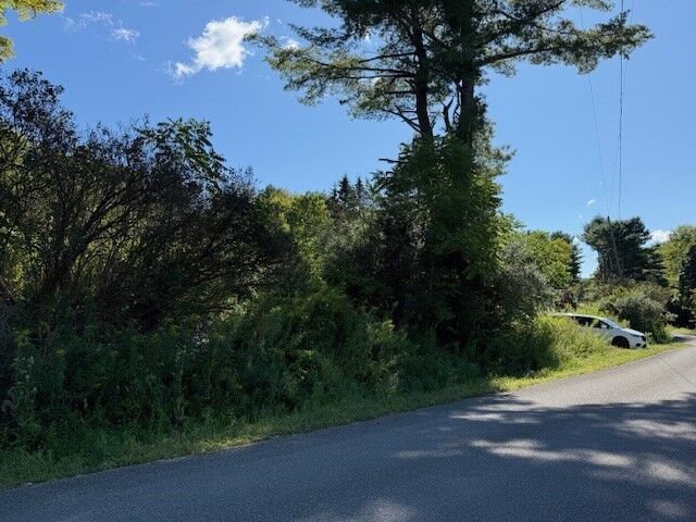 Property Photo:  54 Evelien Hill Road  NY 13827 