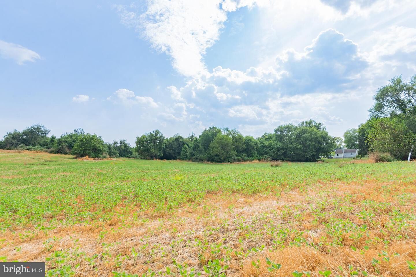 Property Photo: Shepherdstown Pike WV 25425