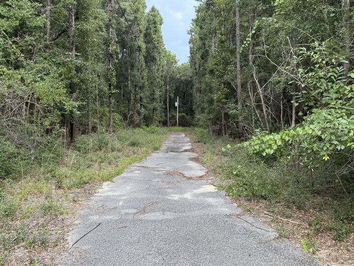 Property Photo: 3855 Poverty Creek Road FL 32539