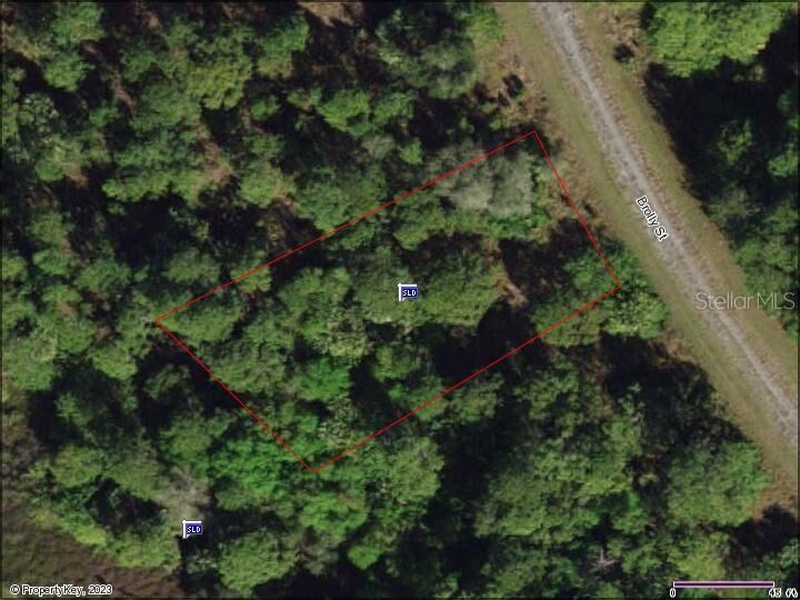 Property Photo: Brolly Street FL 34288
