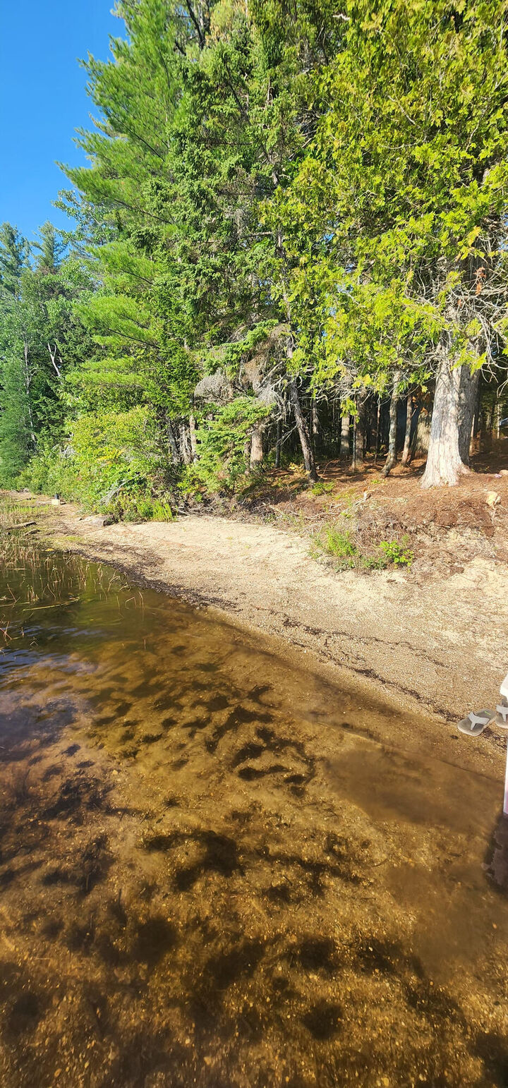 Property Photo: 6 Wilderness Way ME 04686