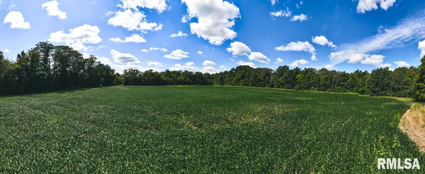 Property Photo: 0 County Road 2300 E Road IL 61930