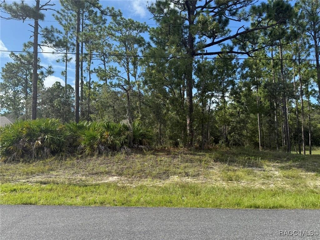 Property Photo: 339 W Goldcoast Place FL 34434