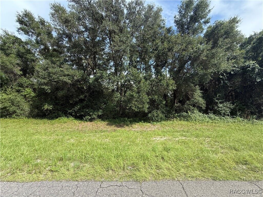 Property Photo: 526 E Citrus Springs Boulevard FL 34434