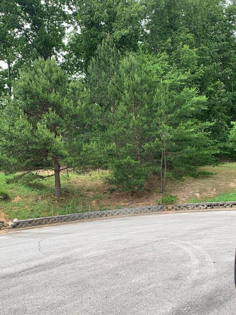 Property Photo: 00 Abbey Cove NE TN 37312