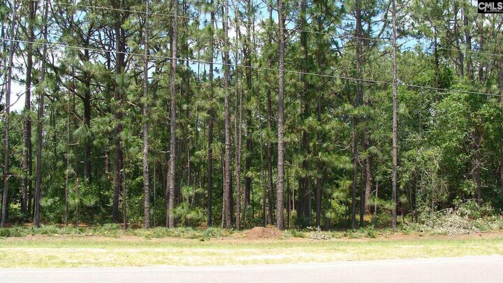 Property Photo: 822 Meadowfield SC 29053