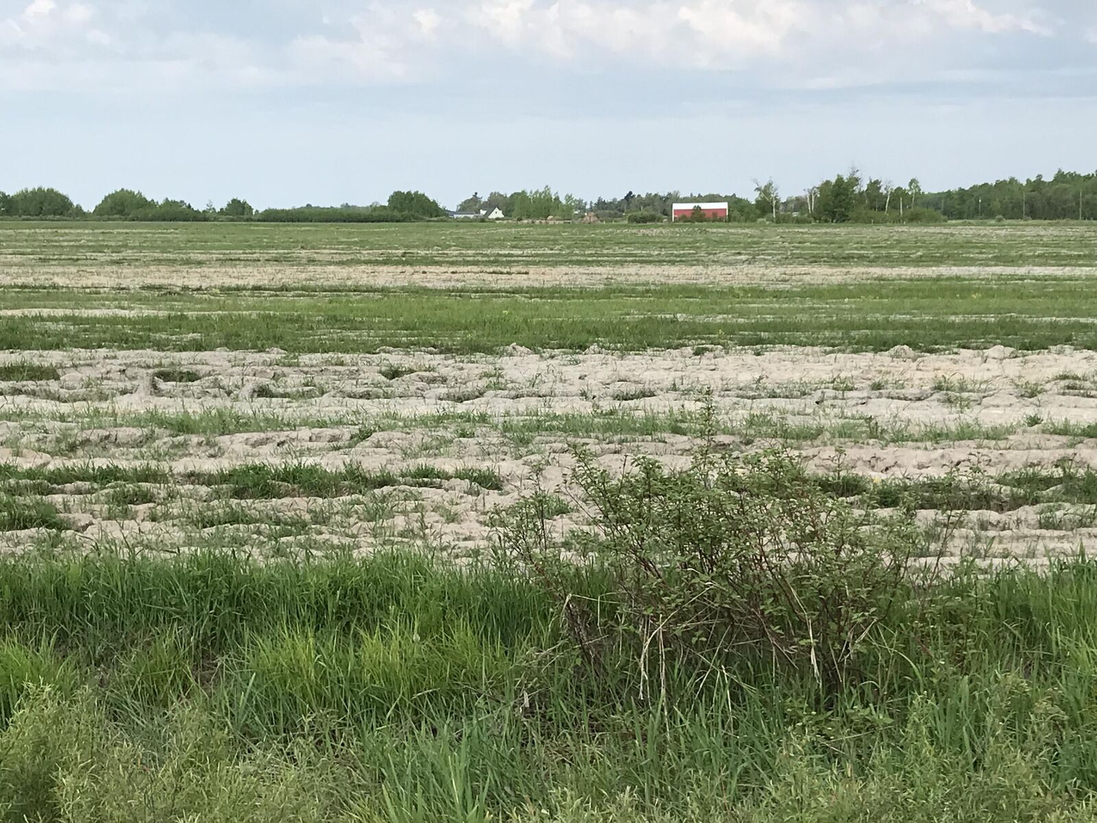 Property Photo: Tbd S Shunk Rd MI 49783