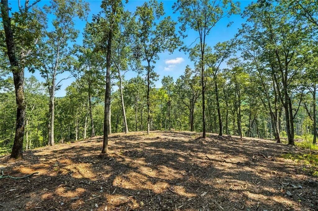 Property Photo:  0 Debord Drive  GA 30183 