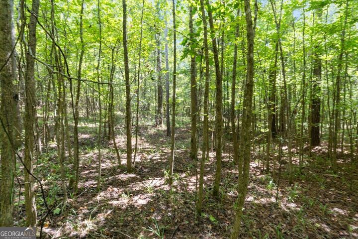 Property Photo: 1141 Apalachee Meadows Drive GA 30650