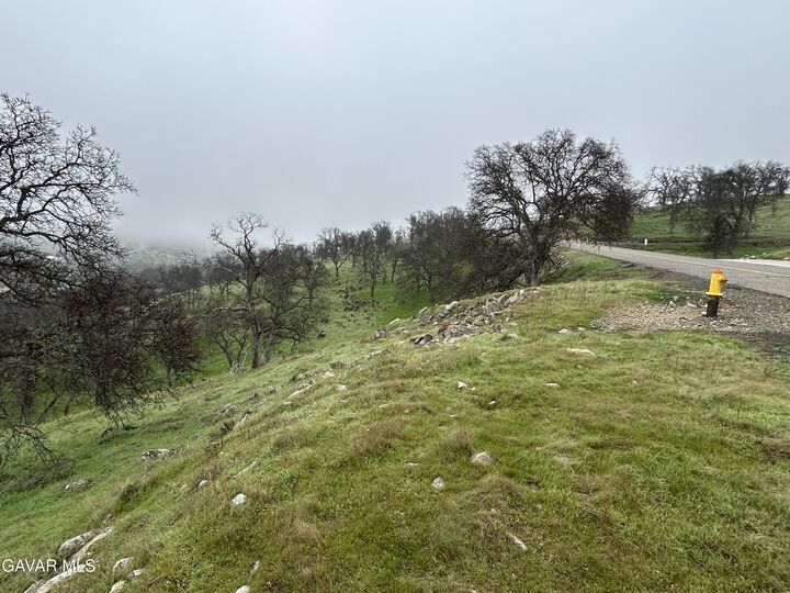 Property Photo:  9784 Torito Way  CA 95329 