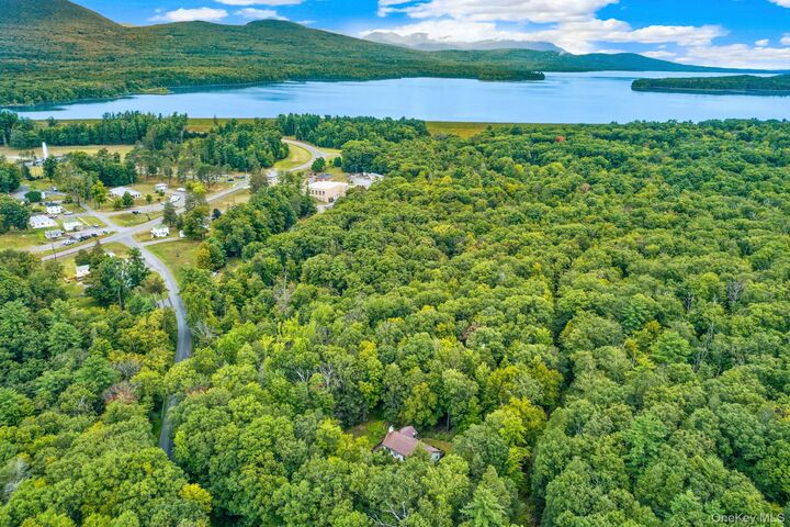 Property Photo:  650 Beaverkill Road  NY 12461 