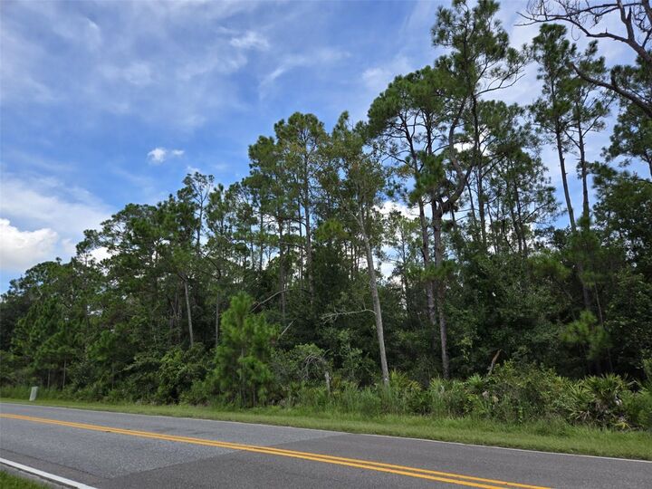 Property Photo:  13887 Reams Road  FL 34786 