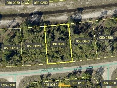 Property Photo: 1031 Coleridge Street FL 33974