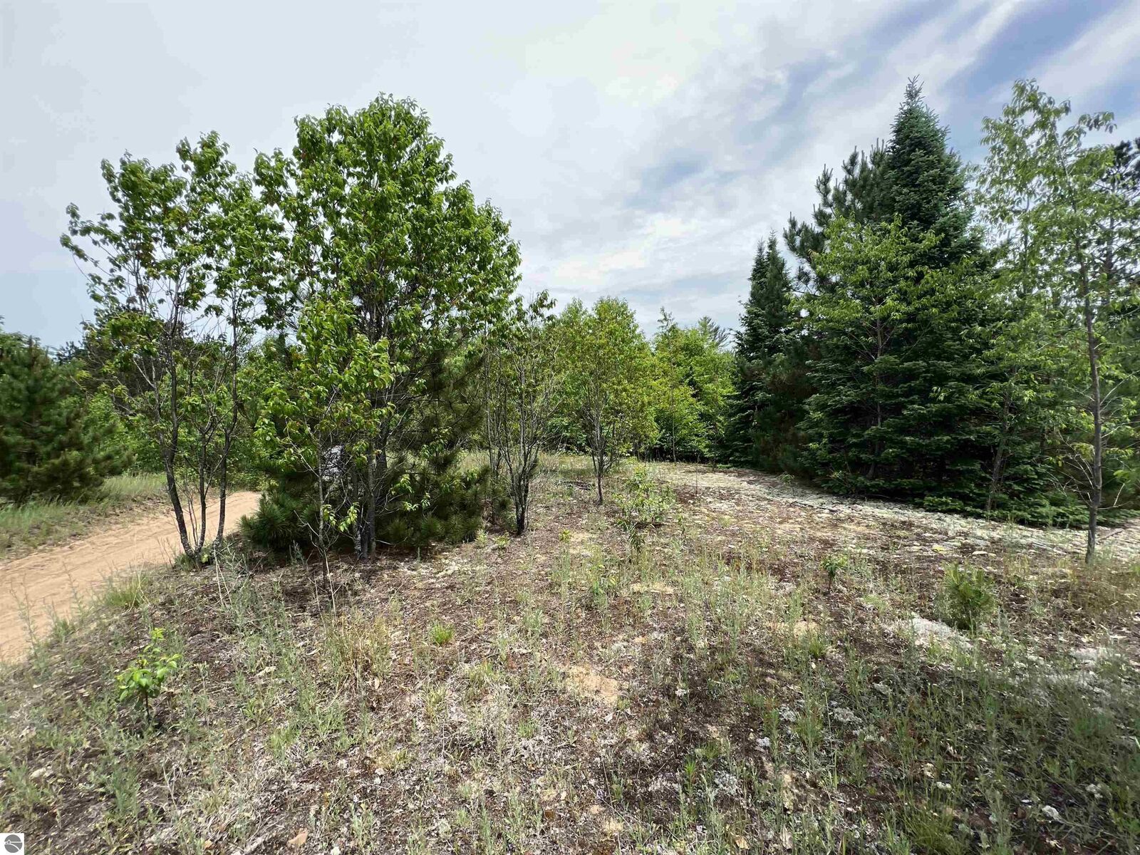 Property Photo: 5 Acres Little Lane MI 49646