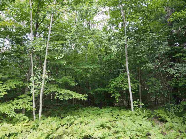 Property Photo: 8911 Spring Ridge MI 49770