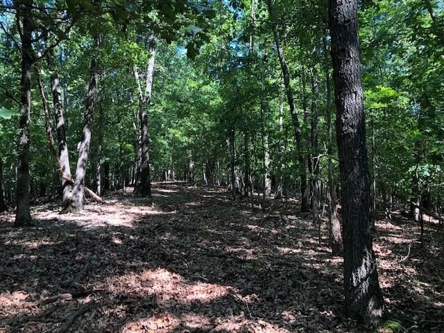 Property Photo: 152 County Road 1520 AR 72632