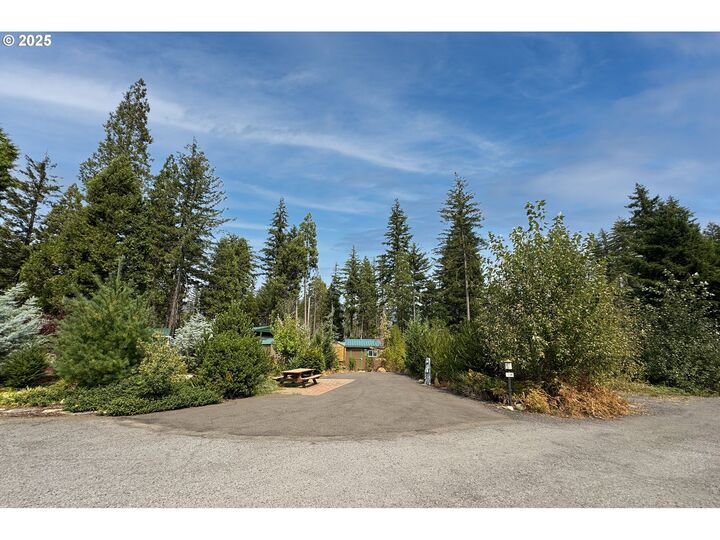 54432 McKenzie Hwy 38  Blue River OR 97413 photo