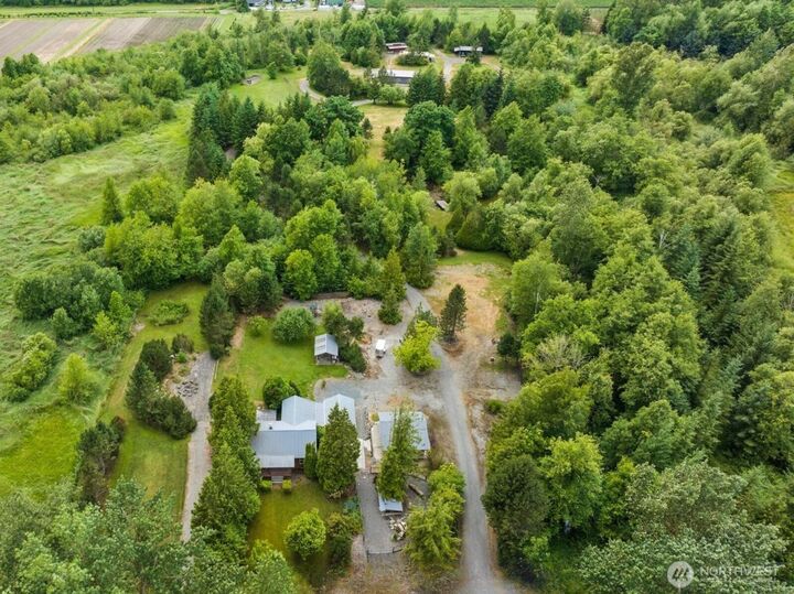 7009  Oat Coles Road  Everson WA 98247 photo
