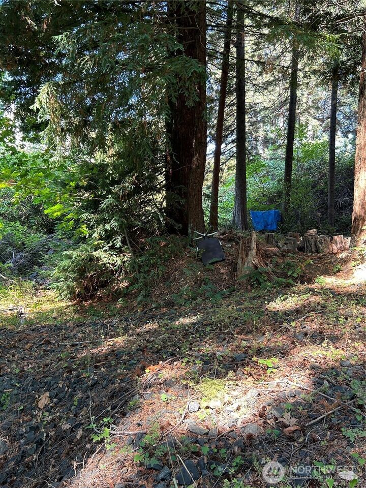 Property Photo: 0 Hazel 001 Street WA 98584