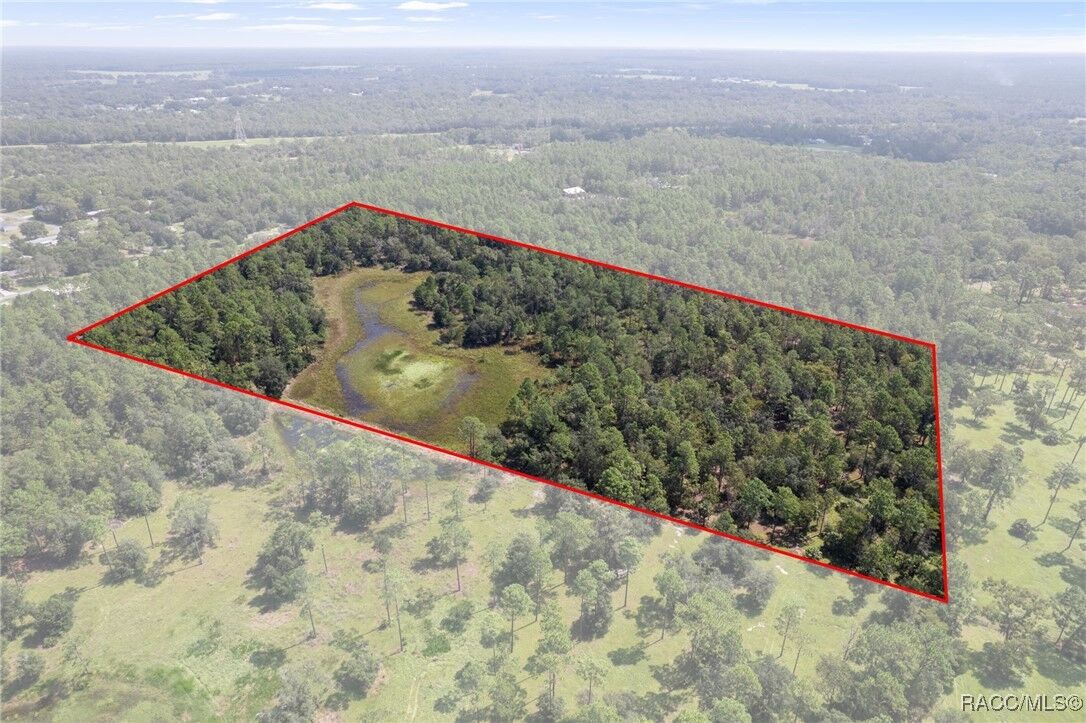 Property Photo: 5499 N Gonzo Point FL 34428