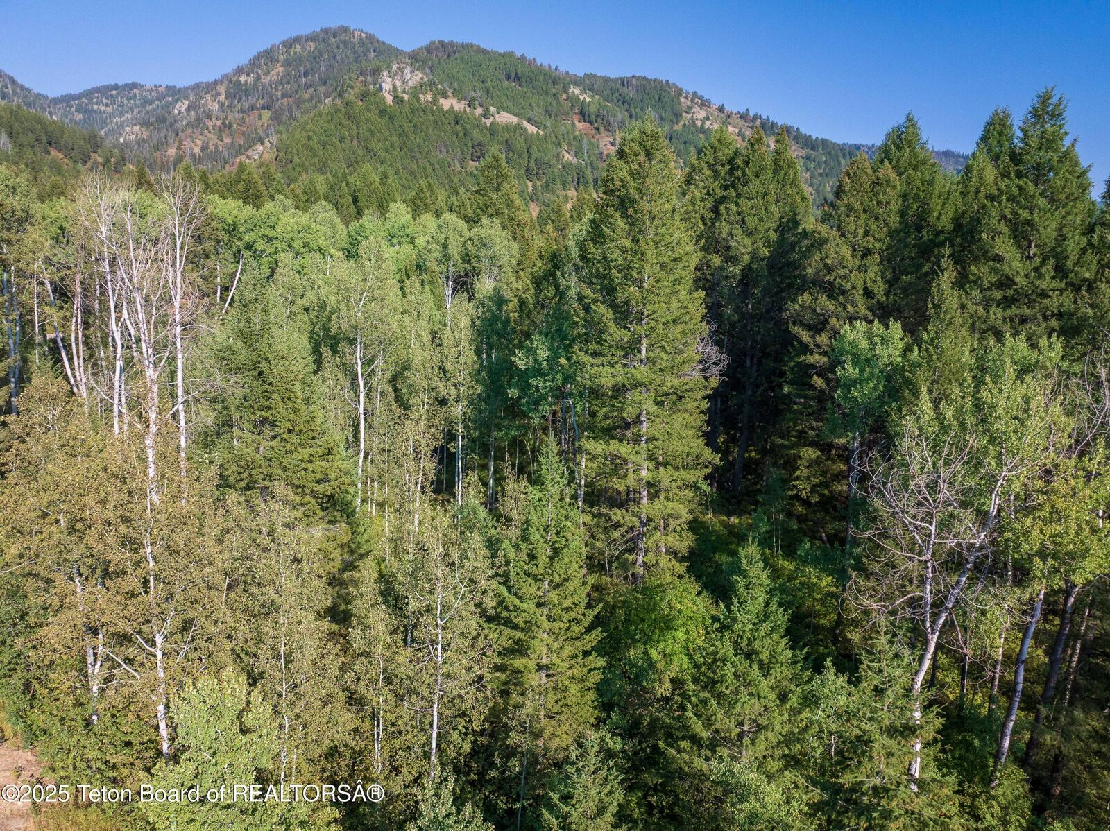 Property Photo: Lot 55-58 Green Canyon Dr WY 83127