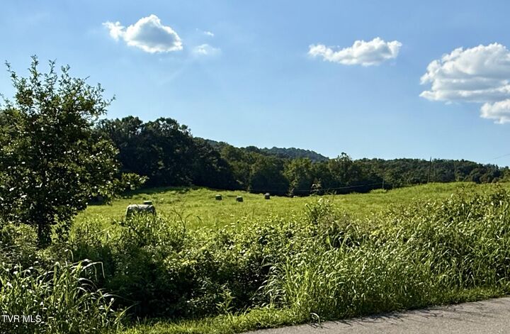 Property Photo: Tbd Horseshoe Bend Road Lot 5 TN 37659