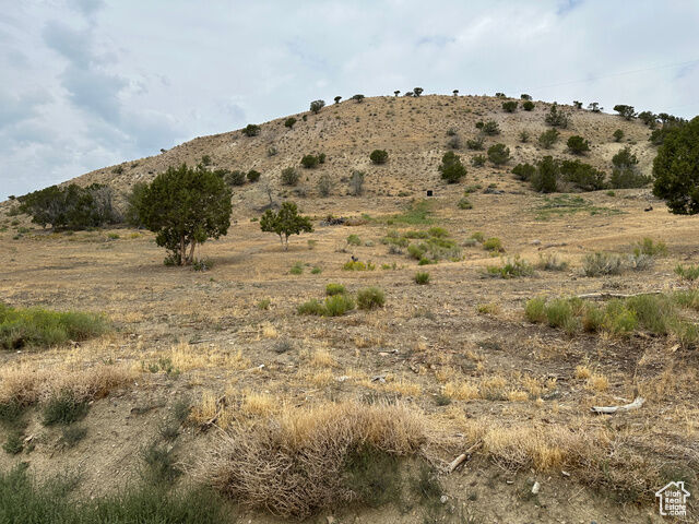 19415 N 7150 E 2  Mt Pleasant UT 84647 photo