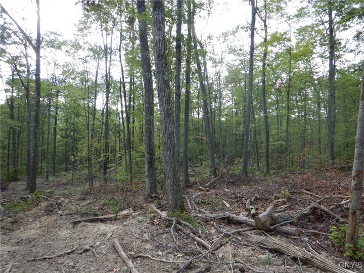 Property Photo:  Perry Road  NY 13835 