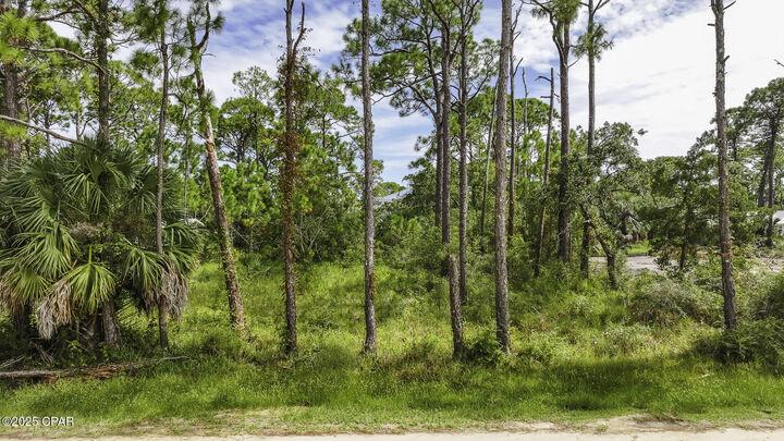 Property Photo: 1028 Porter Street FL 32328