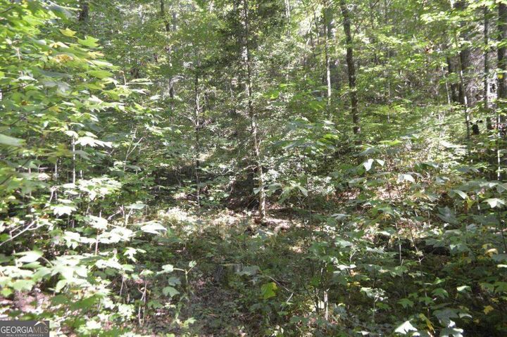 Property Photo:  Lot 5 Hemlock Ridge  GA 30525 