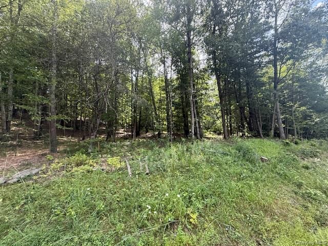 Property Photo: Lot 3 Shoddy Hollow Road NY 10963