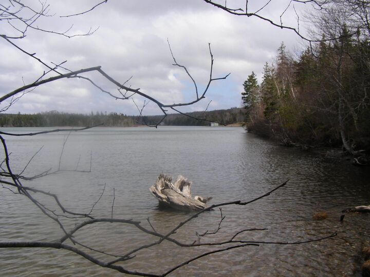 Property Photo:  Lot 13 Torus Drive  NS B0E 3B0 