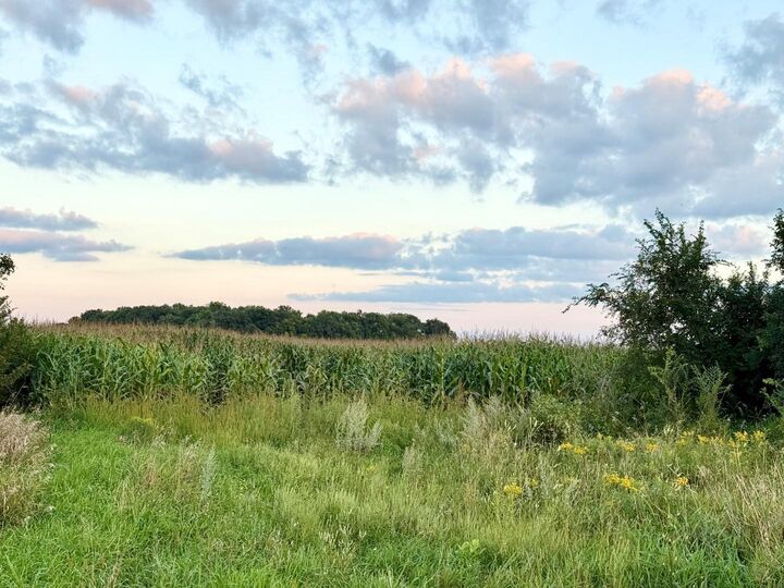 Property Photo: Xxx Forster Road NE MN 56319