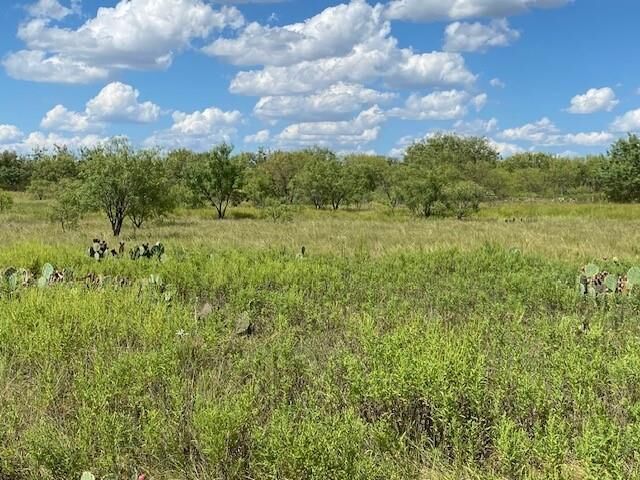 Property Photo: 0000 County Road 334 TX 76432