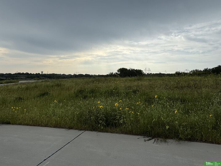 Property Photo:  Tbd Lot 48 Street  NE 68028 