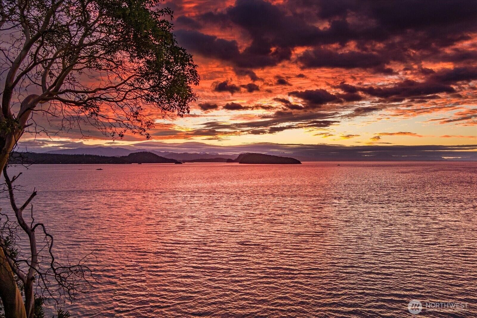 Property Photo: 4486 Villarreal Lane WA 98277