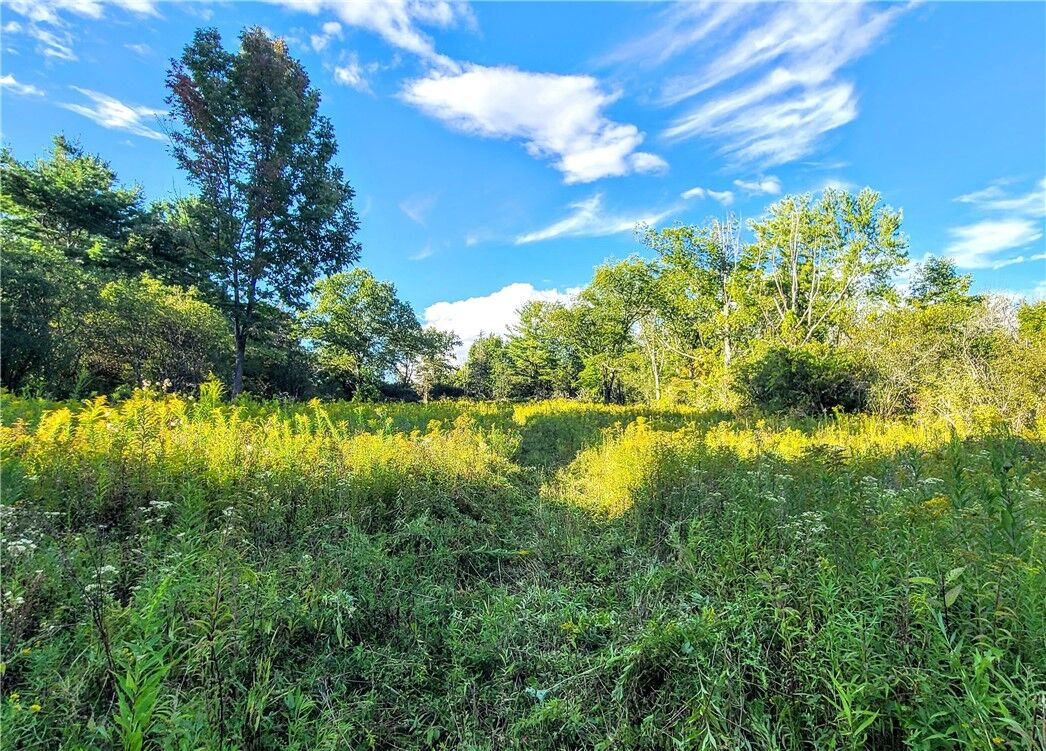 Property Photo: 74 Cherry Road NY 14850